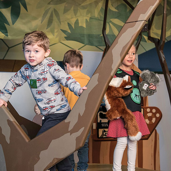 children playing with the Outback tree component